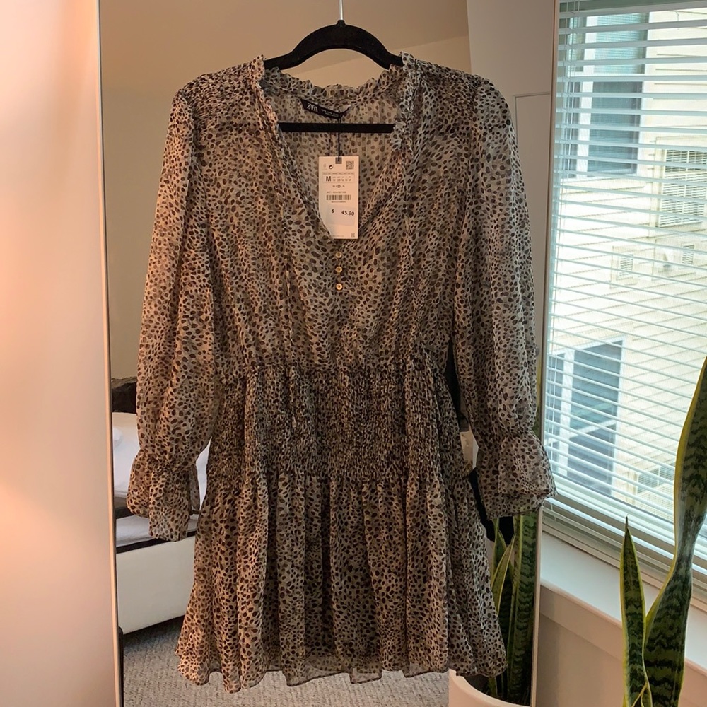 Zara Dress